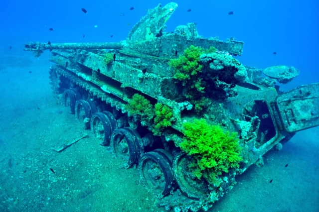 tank dive site aqaba m42