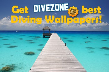 Amazing Wallpapers to download!