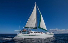 petrel galapagos cruise review