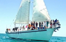 Blackbeard's Sea Explorer
