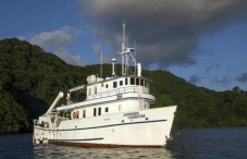 Best Cocos Island Liveaboard Reviews 2023 – Divezone