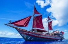 Manta Mae