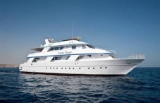MV Snefro Target