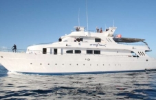 Best Red Sea Liveaboard Reviews 2023 – Divezone