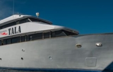 MV Tala