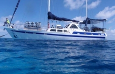 Coral Sea Dreaming Coral Sea Dreaming