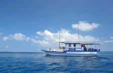 Koimala
