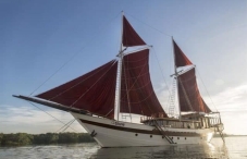Tiaré Cruise