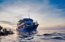 MV Smiling Seahorse