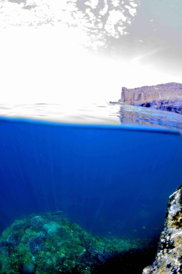 This is a Coral Reef in Musandam for a Diving Review