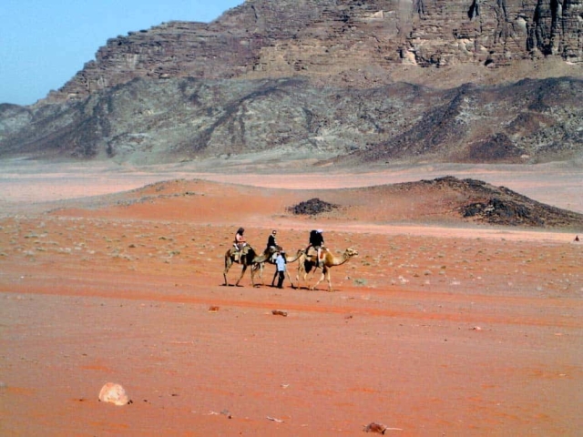 wadin rum camel safari