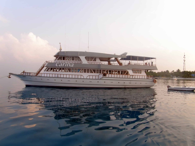 This the Carine Liveaboard for a diving trip review in Maldives