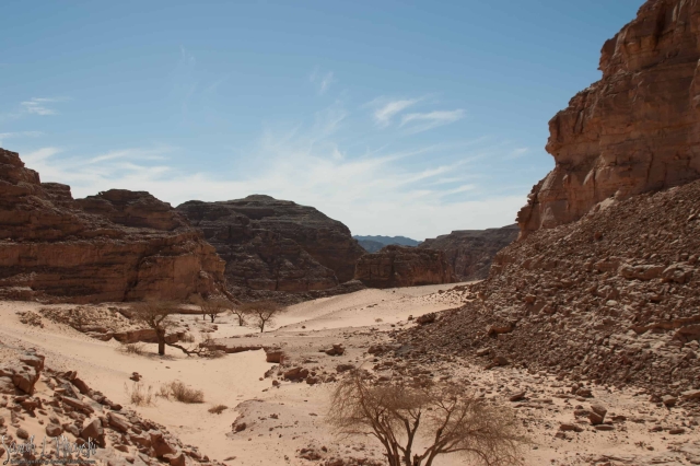 Nuweiba Excursion Activities