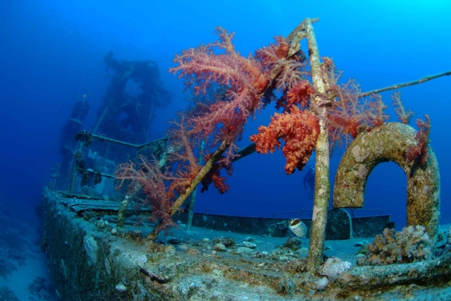 satil-wreck-diving-review-eilat