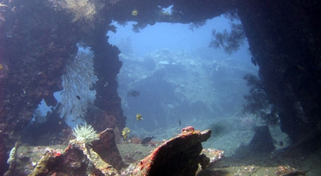 Diving In Underwater Arch