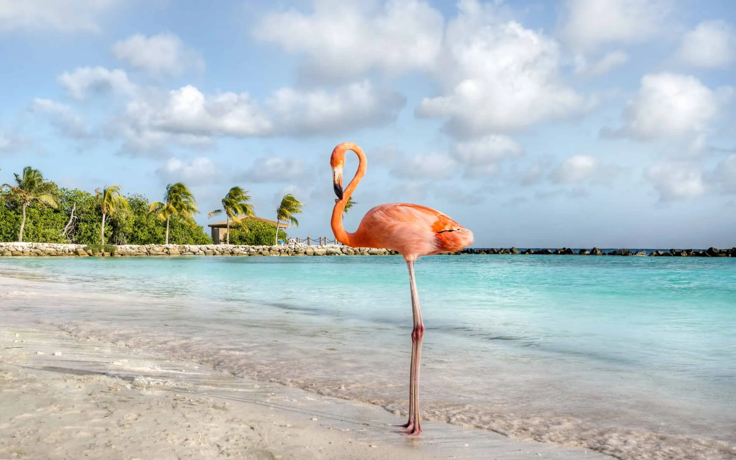 Aruba