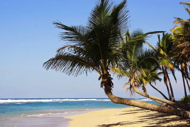 Dominican Republic