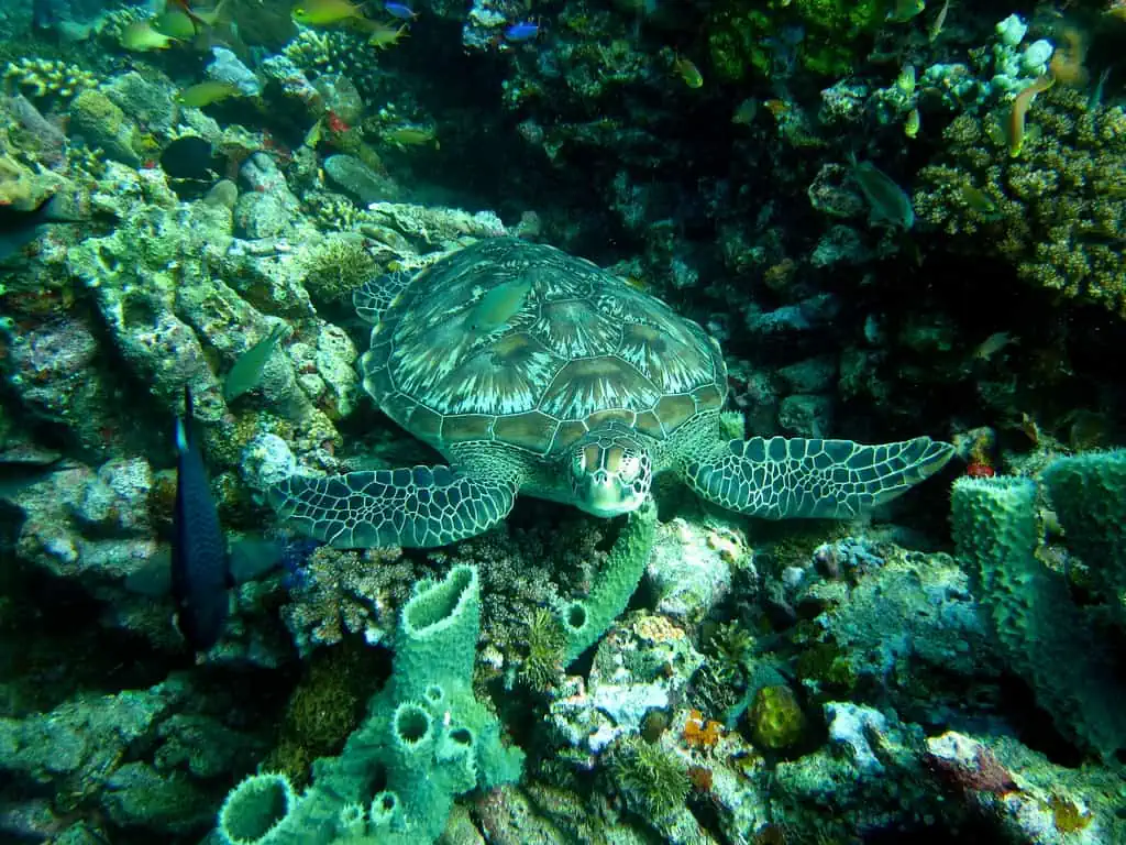 Gili Islands, Lombok