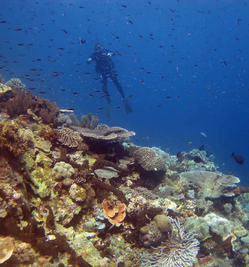 Wakatobi