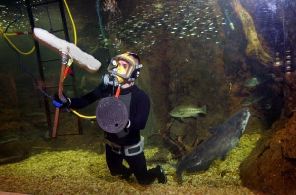 aquarium diver jobs description