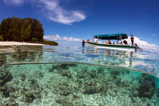 kri-resort-diving-boat-picture