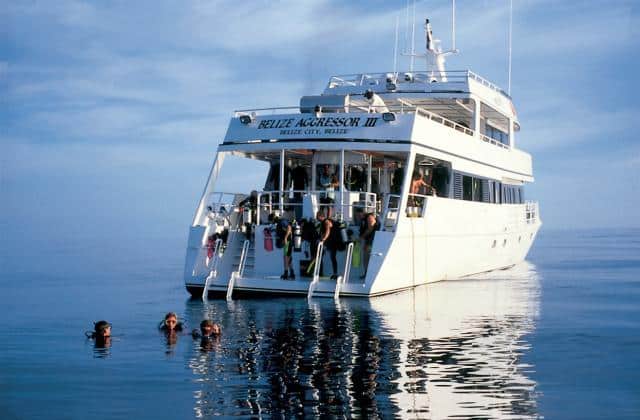 Belize Aggressor 3 Liveaboard Review – Belize, Dive Boat Reviews