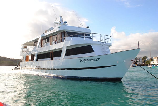 the pinguino explorer is a galapagos liveaboard
