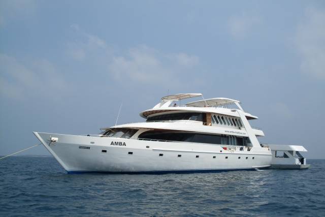 mv-amba-liveaboard-maldives-reviews