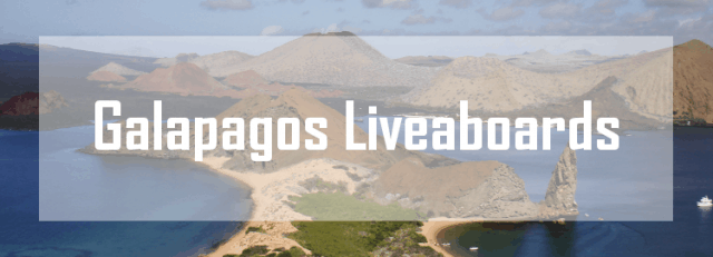 best galapagos liveaboard