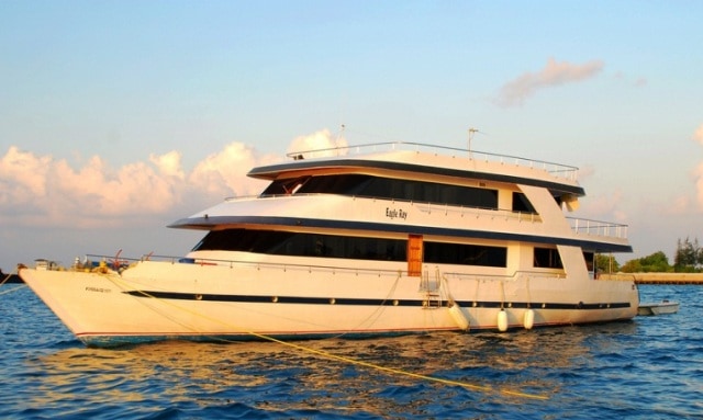 eagle ray-liveaboard-maldives