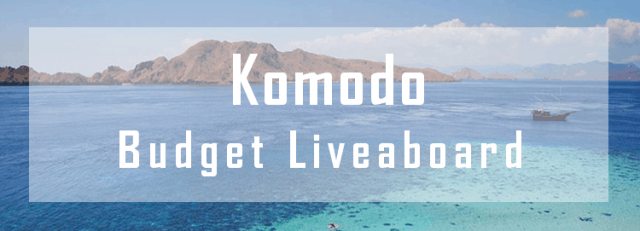 budget liveaboard komodo