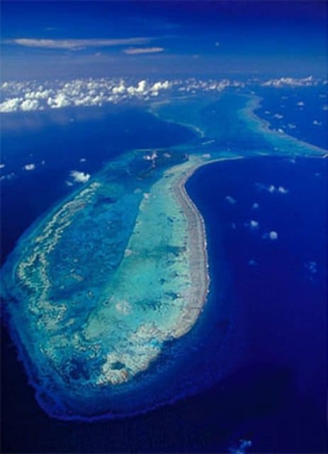 The Lighthouse Reef is the furthest atoll from mainland Belize but the most famous reef among the rest. 