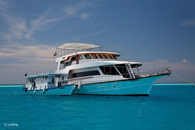 my-sheena-liveaboard-maldives-reviews