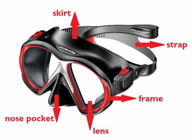 The typical dive mask has 5 basic parts: the skirt, strap, frame, nose pocket and the lens