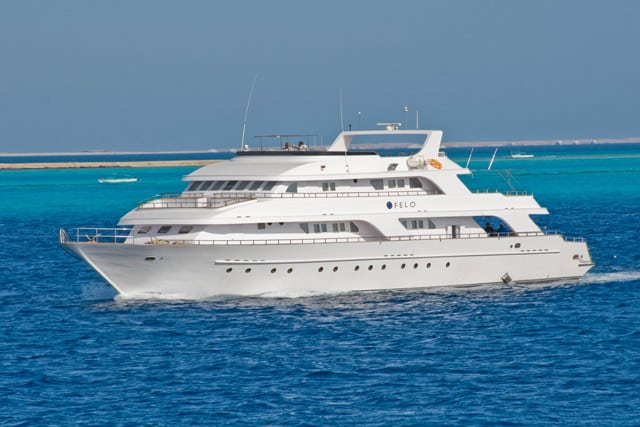 seawolf felo luxury liveaboard red sea 