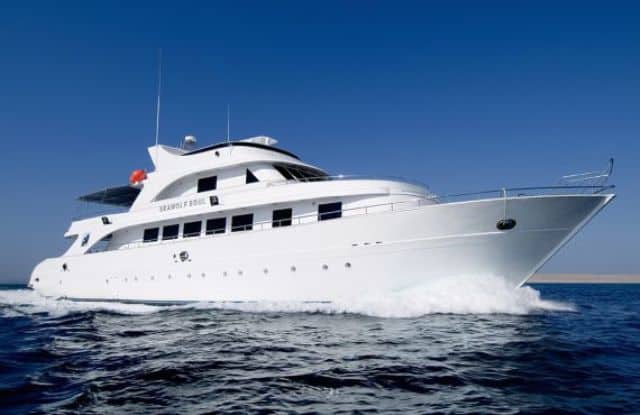 seawolf soul luxury red sea liveaboard 