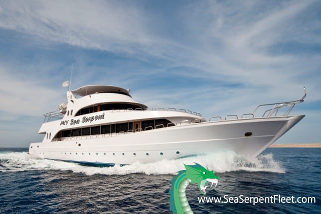 MY sea serpent luxury liveaboard red sea 