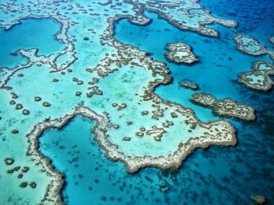 Best Great Barrier Reef Liveaboard Reviews 2023 – Divezone