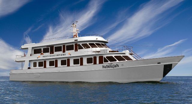 MV Hallelujah Liveaboard Khao Lak, Similan Islands, Thailand Dive Reviews