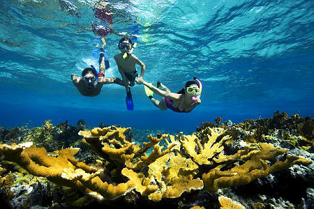 snorkelling