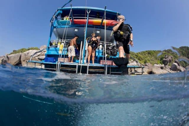 dolphin queen diving thailand myanmar