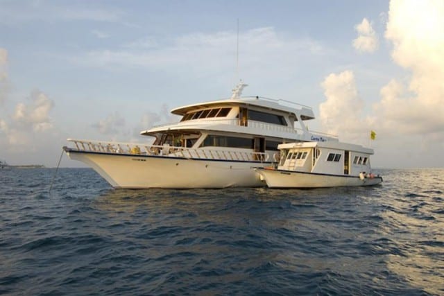 conte-max-liveaboard-reviews