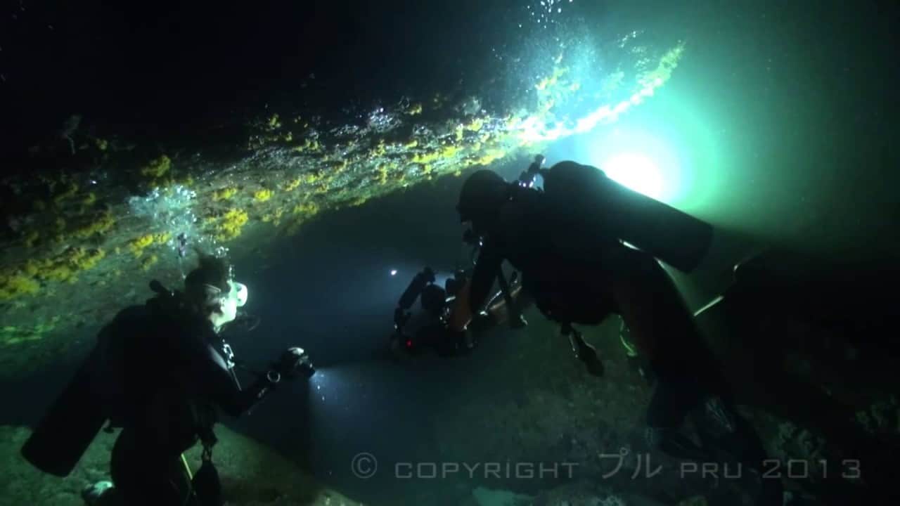 MV Hallelujah