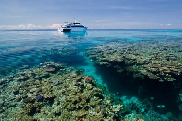 scubapro-liveaboard-diving-cairns