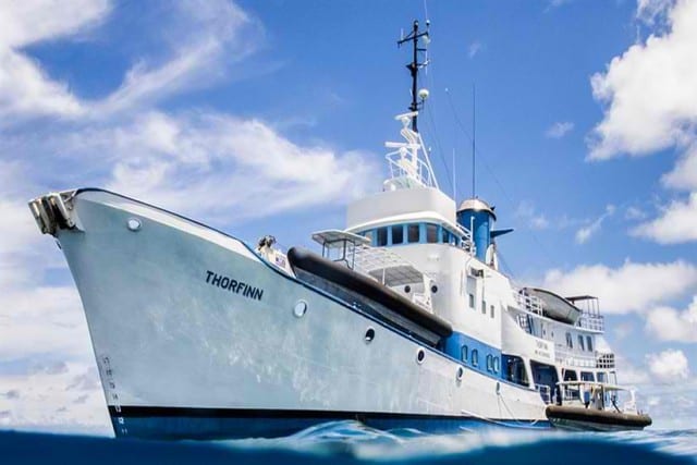 Thorfinn cheap budget liveaboard palau