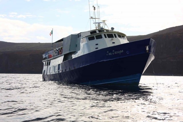 MV Sea Escape Liveaboard Review – Guadalupe Island, Mexico, Socorro