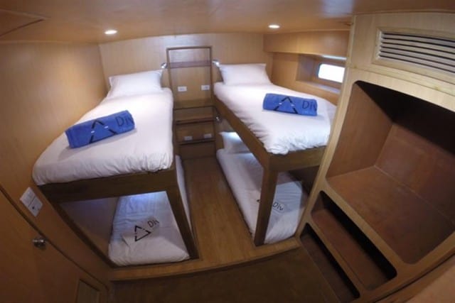 MV Diverace Class Quad Bunk Cabin