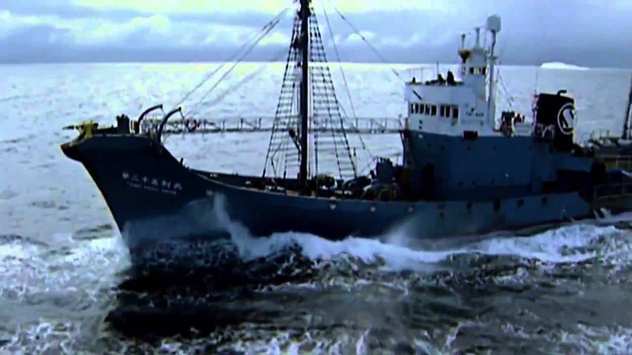 MV Princess Dhonkamana