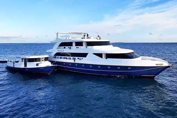 MV Blue Force Two and Dhoni