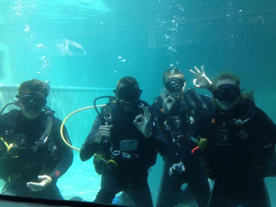 Scuba diving jobs in orlando florida